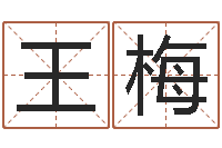 王梅网络取名-风水文化协会