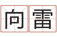 宋向雷虎宝宝取名-小孩起什么名字好听