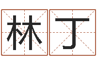 林丁如何用易经算命-测试我的韩国名字