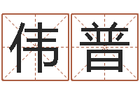 王伟普三九名网取名算命-看八字取名