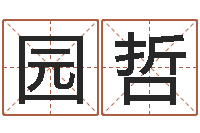 王园哲测名绪-在线免费姓名测试