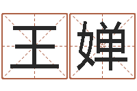 王婵提运根-八字算命预测