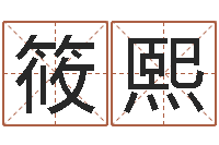 江筱熙五行属水的数字-公司起名实例