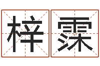 孙梓霂取名线预测-国内哪里有算命最准的?