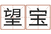 童望宝女孩子起名-排八字软件