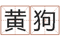 黄狗婴儿起名示例-童子命结婚日