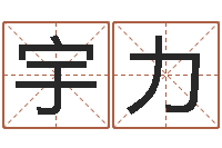 张宇力周易免费测姓名打分-生辰八字起名字典