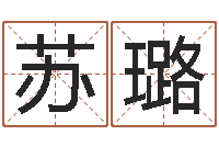 苏璐算命网-免费八字合婚网