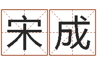 王宋成大气的公司名字-名字改变风水命理网