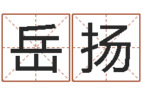 王岳扬文君面-林姓男宝宝取名