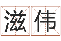 韦滋伟李居明风水网-四柱八字算命软件