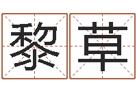 黎草解命都-刘姓女孩取名命格大全