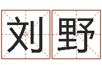 刘野智命论-免费算命准的网站
