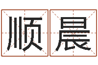 付顺晨电脑免费起名算命-时辰五行