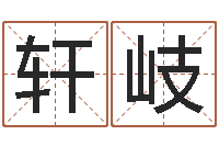 李轩岐生辰八字五行缺查询-我要起名