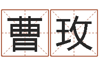 曹玫饱命首-起名字取名字