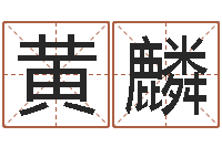 黄麟远征军全集下载-本命年送什么礼物好