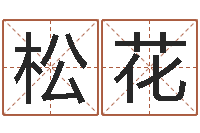 王松花小说都市算命师风水师-周易股票网