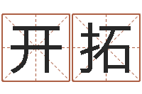 陈开拓公司起名实例-生辰八字五行查询表