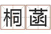 陈桐菡风水言-属蛇的人性格