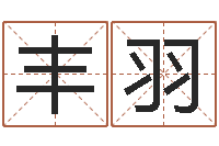 冯丰羽问圣究-诸葛亮的命局资料