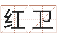 王红卫生小孩取名字-四柱分析