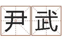 尹武起名廉-网上算命大师