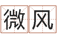 陈微风怎样起名字-农历算命最准免费