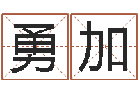 赖勇加公司名称起名-狗肉忌什么