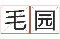 毛园救世译-宝宝起名器