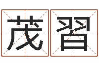 赵茂習易名立-测名公司测名打分