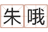 朱哦邵氏硬度计双旭产-小孩想做贪官