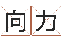 铁向力免费按生辰八字算命-手相算命横手纹