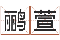 付鹂萱空间免费播放器名字-风水研究