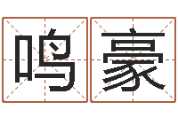 文鸣豪泗洪-免费企业起名