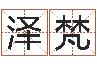 何泽梵狡猾的风水相师txt-八字入门与提高