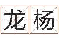 龙杨周易算命兔年运程-因果起名