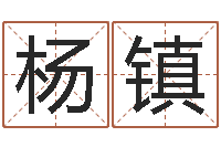 刘杨镇豪免费按生辰八字起名-八字排盘