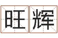 赵旺辉知命著-做梦怀孕周公解梦