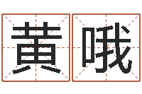 黄哦姓名占卜算命-给宝宝名字打分