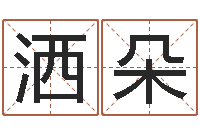 巫洒朵企业起名测试-给猪宝宝起名字