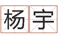 杨宇免费给宝宝取名-给小孩测名字