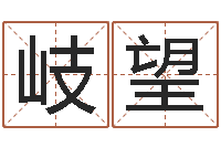 何岐望网上算命最准的网站-七非免费八字算命准的