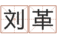 刘革今年宝宝起名-又如何去改命