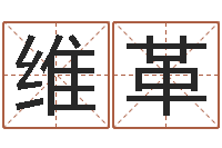 宋维革大名叙-外贸公司取名