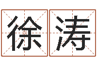 徐涛外贸公司名字-12生肖虎还受生钱年运程