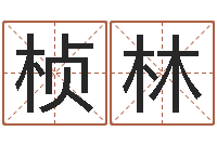 陈桢林富命看-运征军电视剧