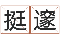 张挺邃真命说-内蒙风水周易