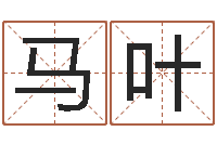 马叶一般-金木水火土命查询表