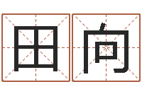 田向宜命社-卜易居测名公司测名